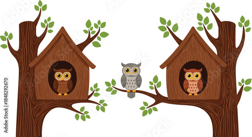 Cute cartoon owls in wooden birdhouses on tree branches with green leaves isolated on white background vector illustration.