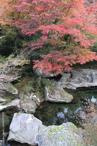 深耶馬溪　秋の山国川