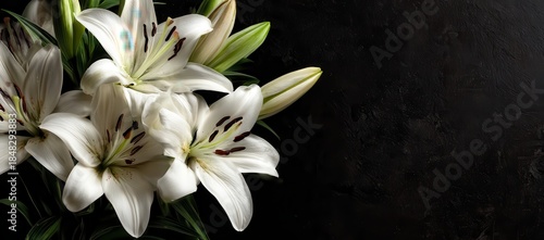 Vibrant photo of Elegant white lilies bouquet on a dark textured background with copy space