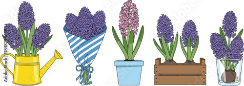 Creative hyacinth flower arrangements in watering can, bouquet, pot, crate, and glass jar showcasing vibrant purple and pink blossoms