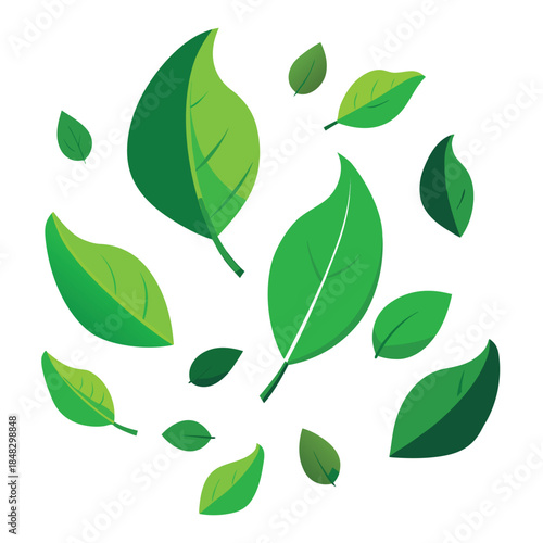 Collection of vibrant green leaves with intricate details, showcasing nature's beauty and freshness for organic and eco-friendly themes.