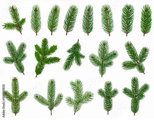 Set of christmas branches isolated on white