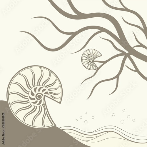 Nautilus Shell and Tree Branches with Waves on Beige Background ammonite fossil