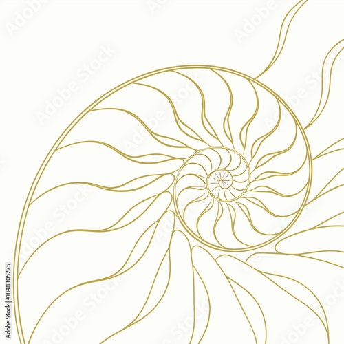 Golden line drawing of a nautilus shell cross-section on a cream background seashell spiral