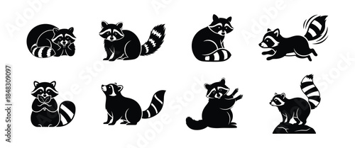 Collection of Raccoon Illustrations in Various Poses and Actions
