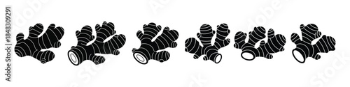 Ginger Root Illustration Set in a Row Isolated on White Background