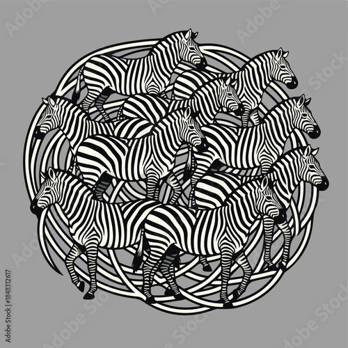A Circle of Zebras A Black and White Illustration.
