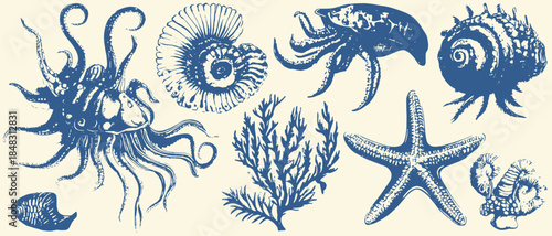 Vintage Sea Creatures Engraving Vector Set, Inverted Black White Xerography on Transparent Background