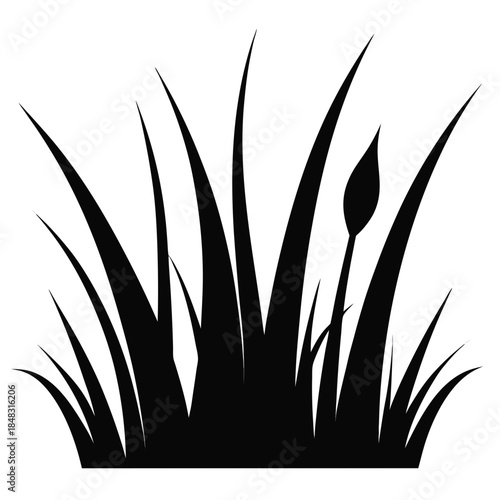 Sparse tall grass silhouette with thin spiky blades black silhouette thin blades