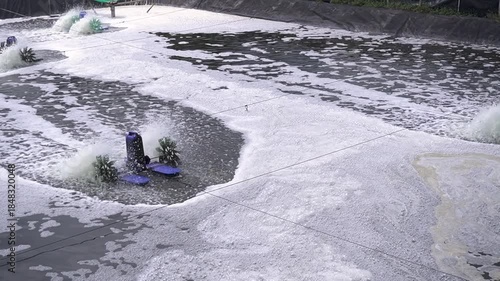 Shrimp cultivation pond in the Pangandaran. Industry area for livestock production, aquaculture.