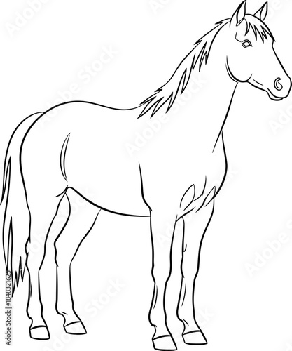 A majestic horse standing in a serene landscape, viewed from the side, showcasing its elegant posture.