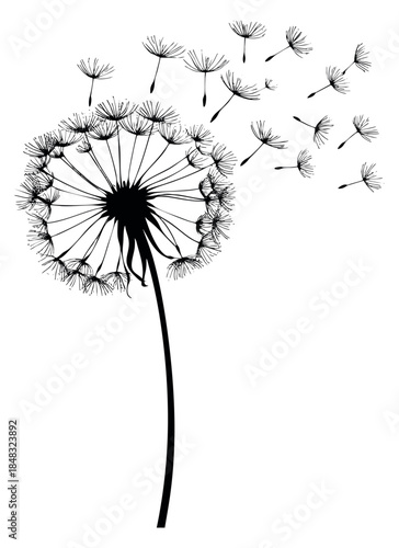 Wallpaper Mural Simple dandelion icon set with seeds flying black and white line art Torontodigital.ca