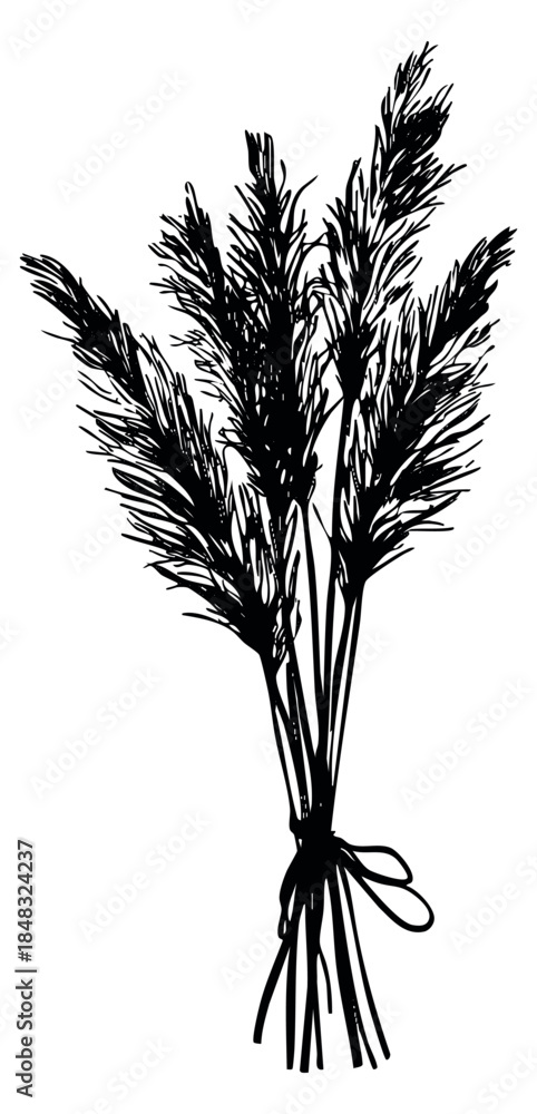 Obraz premium Hand drawn wheat bouquet sketch vector illustration