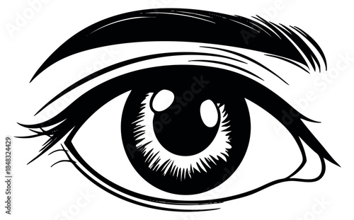 Simple human eye icon with eyebrow and eyelashes black and white sketch vector illustration