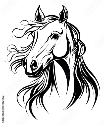 Horse head illustration with flowing mane black and white line art