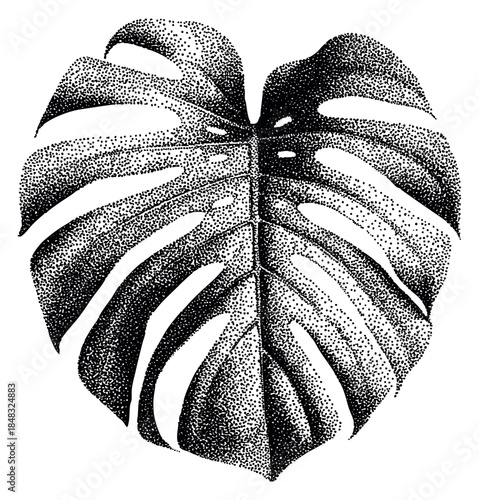 Modern monstera leaf illustration with dot shading hand drawn outline illustration