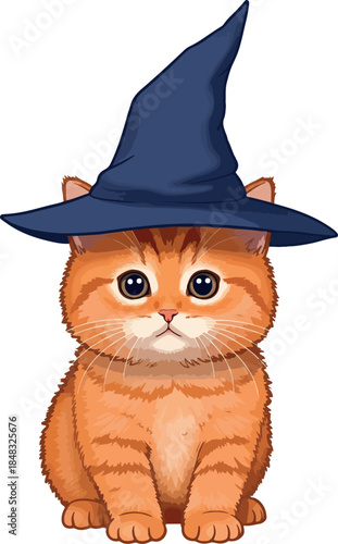 Cute Orange Cat Wearing a Blue Witch Hat Sitting Happily