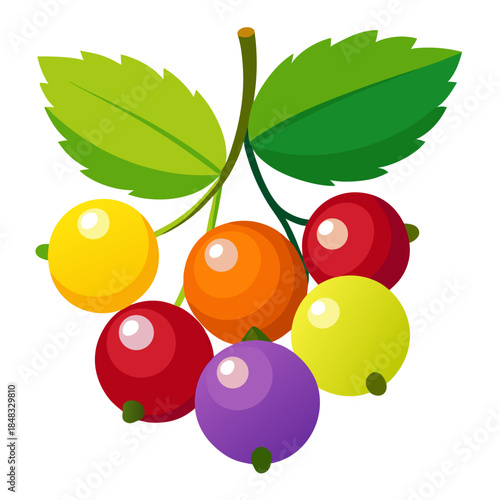 zante currant with leaves