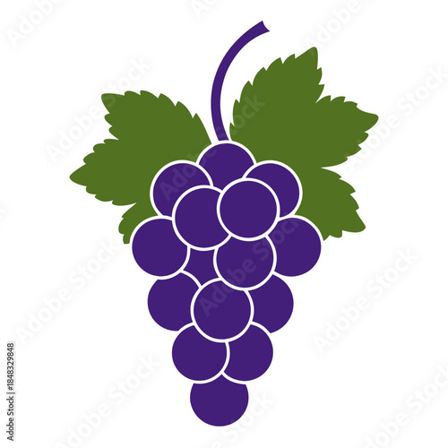 zinfandel grape with leaves