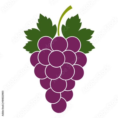 zinfandel grapeon on white background 