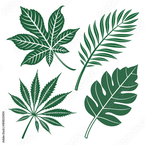 cannabis leaf vector illustration