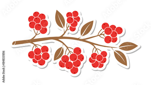 Stylized Rowan Berry Branch with Red Berries and Brown Leaves