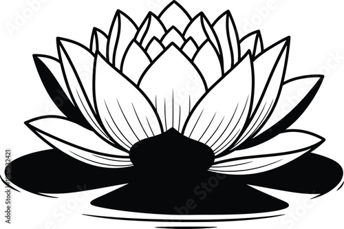 Elegant lotus flower