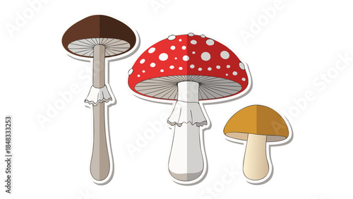 Three Cartoon Mushrooms: Amanita, Brown Cap, and Yellow Cap