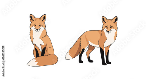 Set of two cute red fox illustrations in different poses, one sitting and one standing, isolated on a white background.