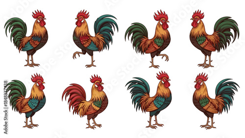 Colorful rooster illustrations in various poses