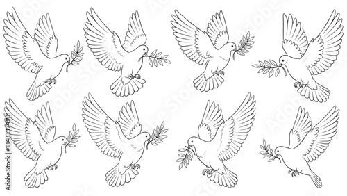 Set of hand drawn doves flying with olive branches