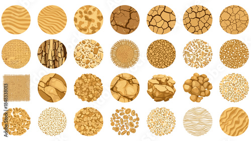 Assorted cookies and crackers