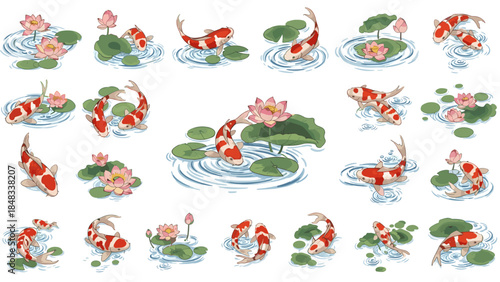 Set of koi fish swimming among water lilies