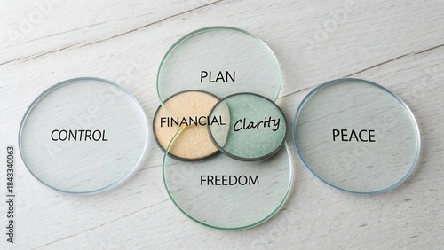 Financial Clarity Concept with Circular Overlays Representing Control, Freedom, Plan, and Peace on a Light Wood Background