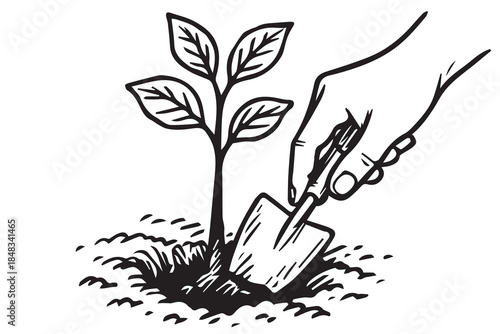 A vector illustration shows hands planting a young plant using a small shovel, symbolizing go green values, environmental care, sustainability, and eco friendly actions for a better future.