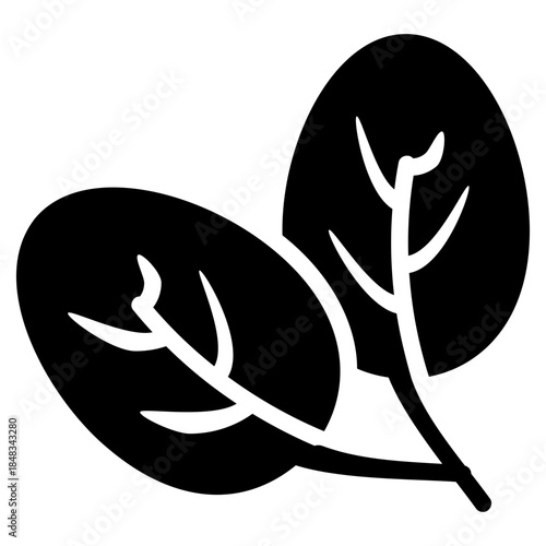 Spinach icon