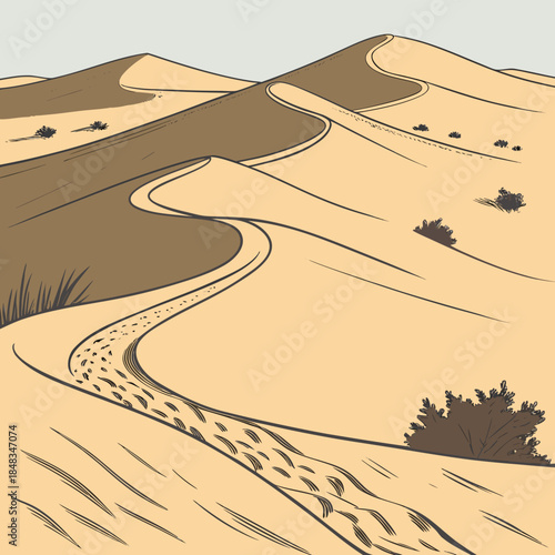 Winding path through desert dunes