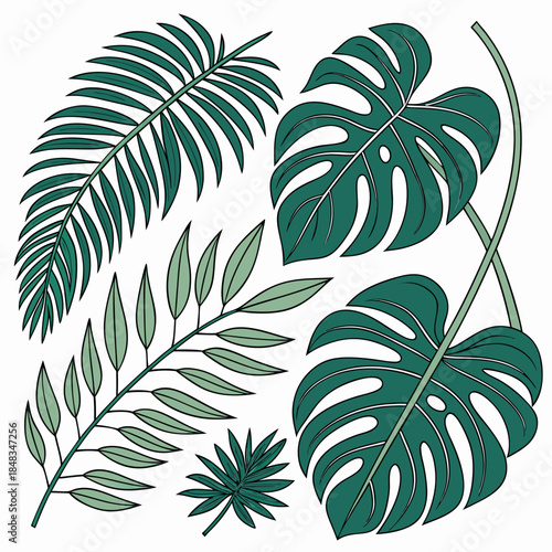 Assorted tropical leaves illustration