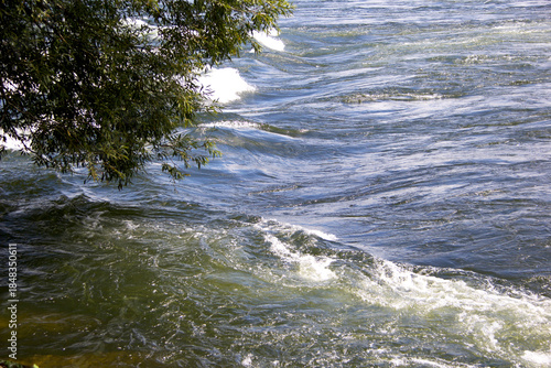 Flowing River Water with Ripples and Tree Branches