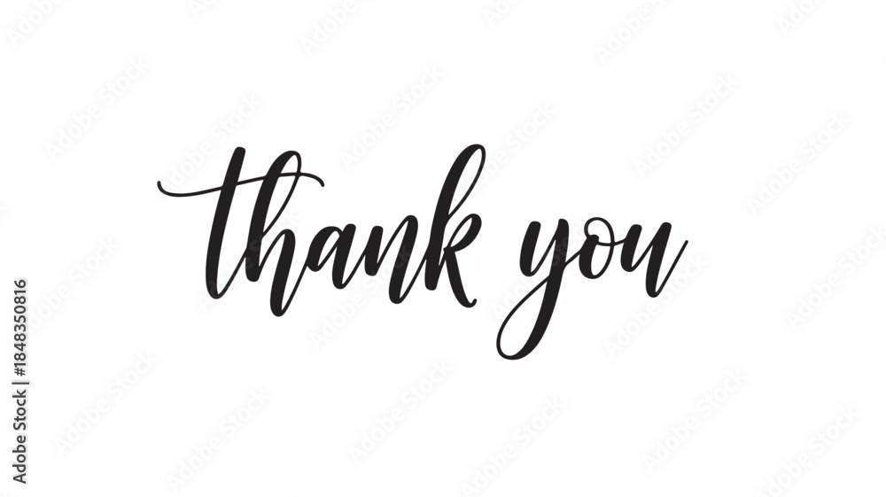 Fototapeta premium Elegant Thank You Calligraphy Text Isolated on White Background - Minimalist Handwritten Script for Greeting Cards