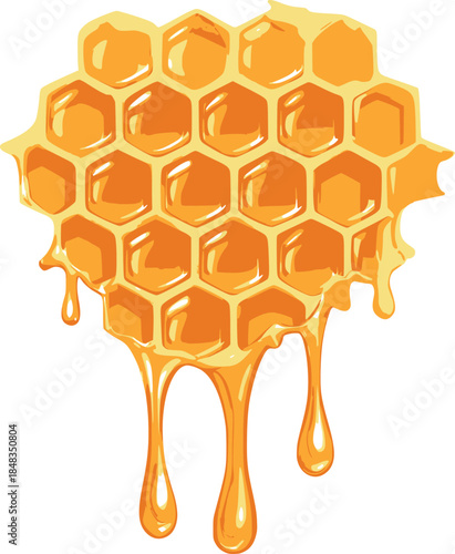 Honeycomb icon with dripping honey glossy vector