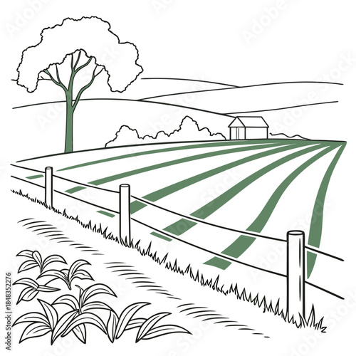 Rural farmland with tree and barn