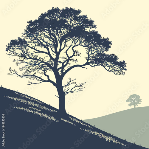 Lone tree on hillside