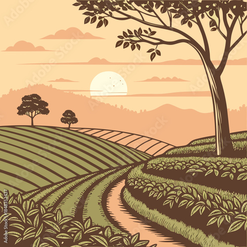 Sunset over terraced fields