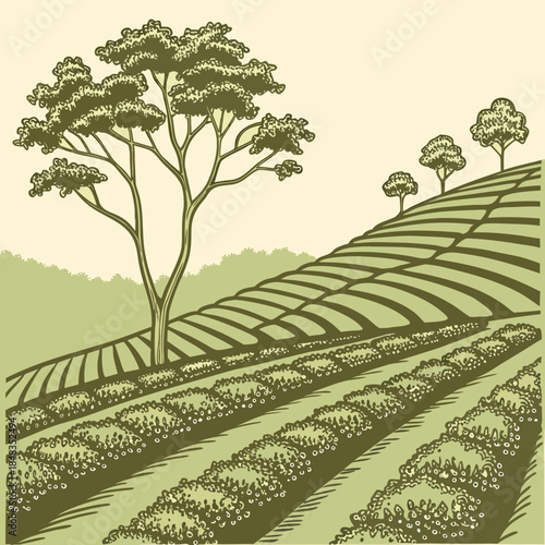 Lush green fields and trees