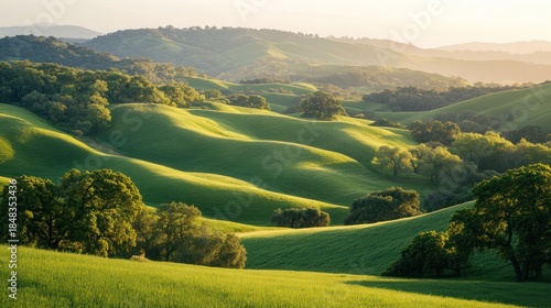 Rolling green hills at sunset, pastoral landscape, nature background, idyllic scene