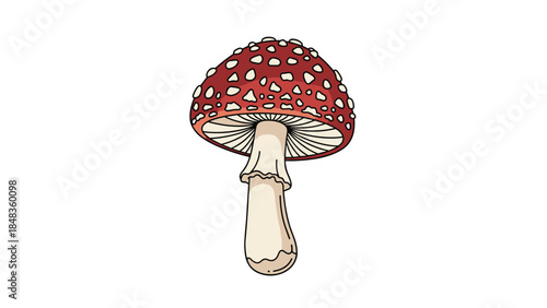 A detailed and colorful cartoon illustration of a single fly agaric mushroom with its iconic red cap and white spots.