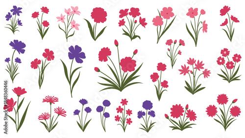 A large and vibrant collection of stylized carnation flowers and bouquets in shades of pink, red, and purple for floral designs.