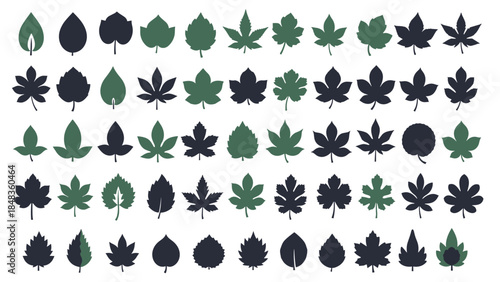 A huge and diverse collection of sixty leaf silhouettes in dark green and black, showcasing many different tree species.