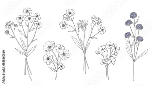 A charming collection of five different hand-drawn wildflower bouquets in a minimalist sketch style, some with subtle color accents.